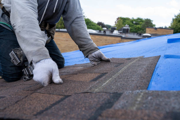 Best Roof Leak Repair  in Lovell, WY