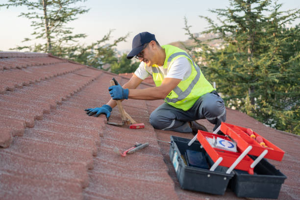 Best Roof Maintenance Services  in Lovell, WY