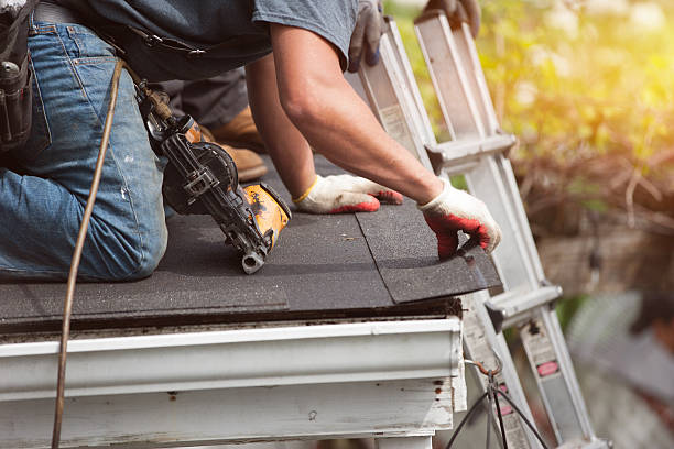 Best Shingle Roofing Installation  in Lovell, WY